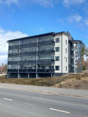 Spa Hotel RED Nilsiä